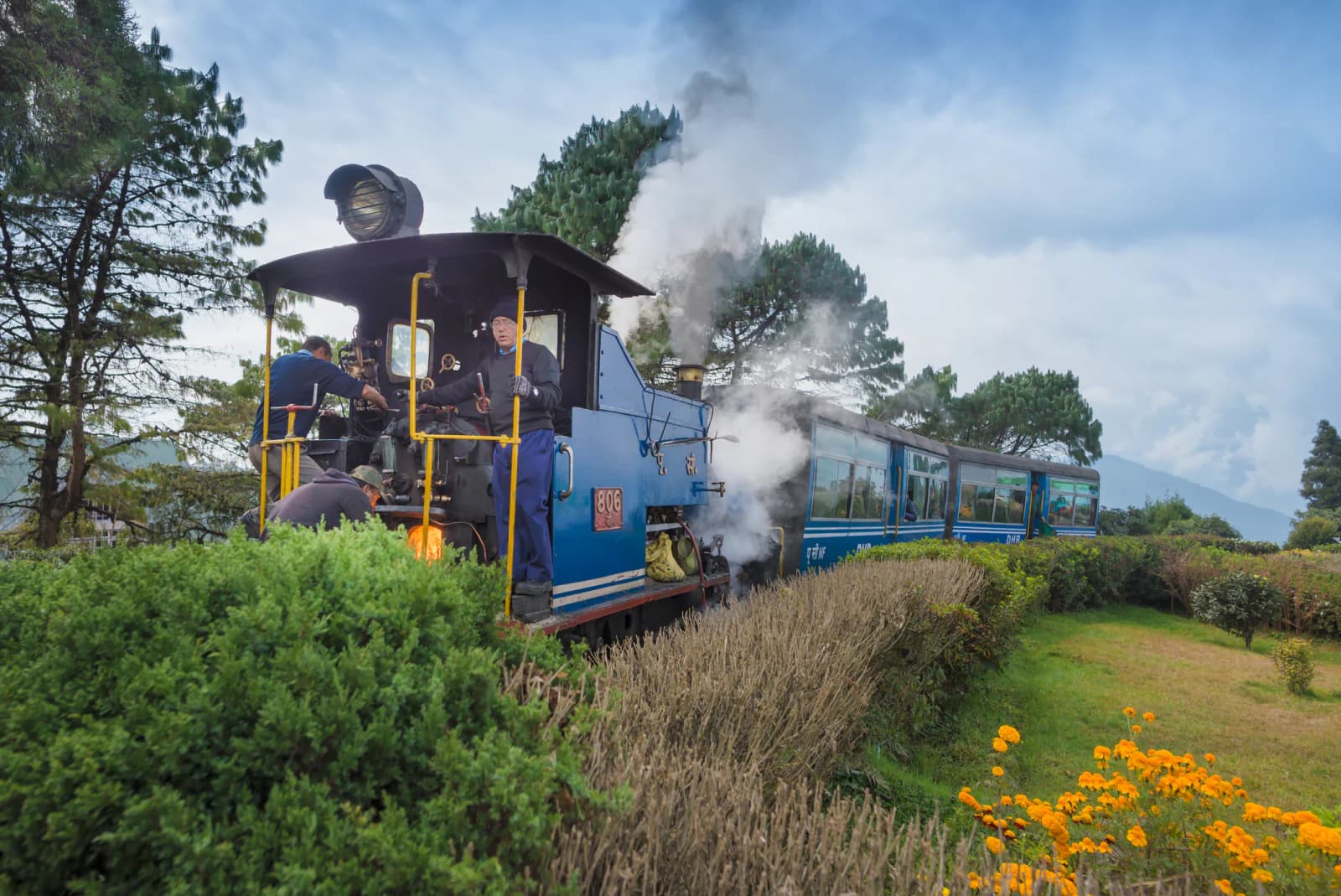 Darjeeling Himalayan Railway (Toy Train)