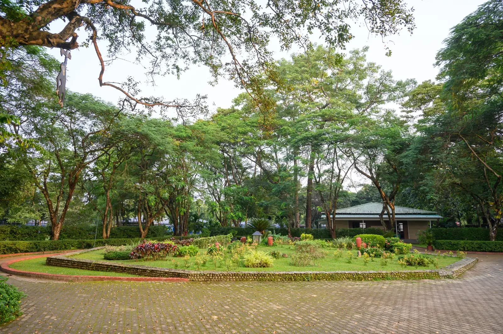 A circular garden bed shaded by mature trees on the resort grounds
