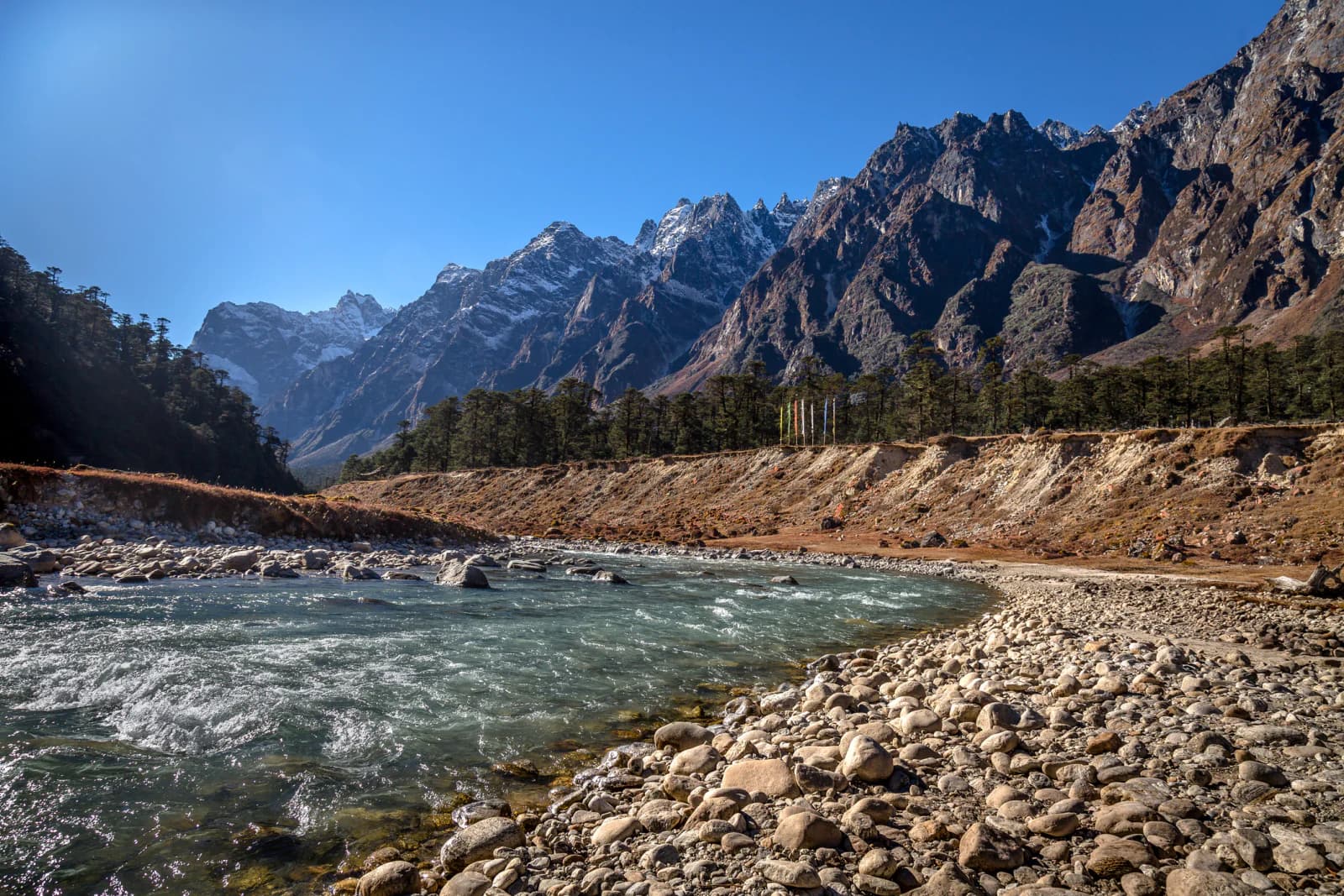 Yumthang Valley